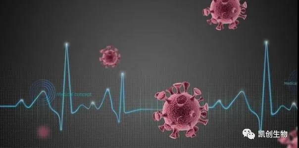 喜訊：凱創(chuàng)生物多款新冠抗原試劑均已獲CE準(zhǔn)入和出口白名單！